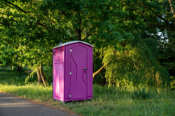 Portable Toilet Options We Offer in St Charles, MN